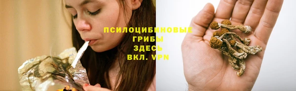 MDMA Premium VHQ Богородск