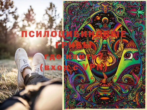 стафф Богданович