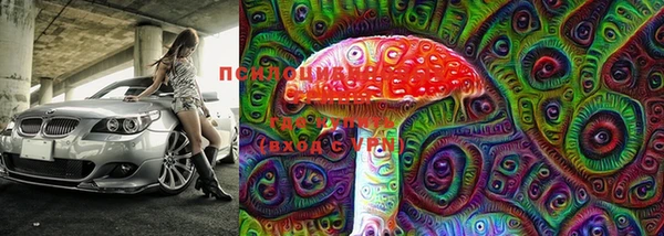 стафф Богданович