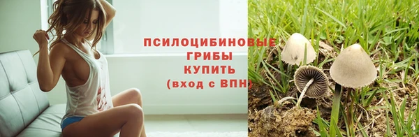 стафф Богданович