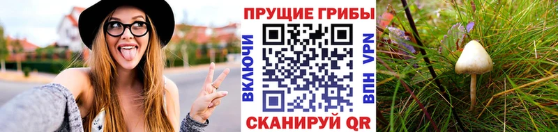 где найти   Ворсма  Псилоцибиновые грибы Magic Shrooms 